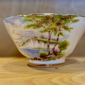 May include: A white porcelain teacup with a gold rim and a painted scene of a cliffside with trees and a body of water.