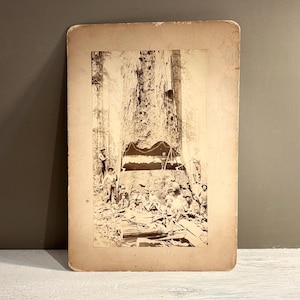 Carte de placard ancienne représentant des bûcherons de séquoia américain et des enfants