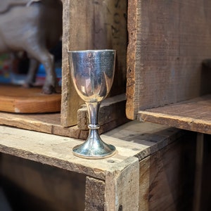 May include: Silver cup trophy inscribed with "Guildford Technical College Ladies Singles 1925 College Cup" on a wooden shelf.