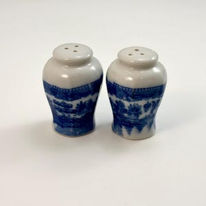 May include: A pair of white ceramic salt and pepper shakers with blue and white floral designs. The shakers are shaped like small vases.