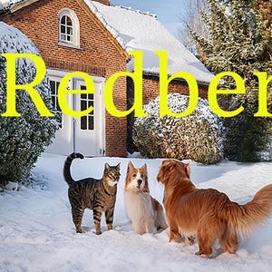 Images de cartes de Noël en haute définition pour les fabricants de cartes. Dimensionné pour les cartes, les t-shirts, les cliparts, les cliparts de chat, la tenue d'un journal Plus