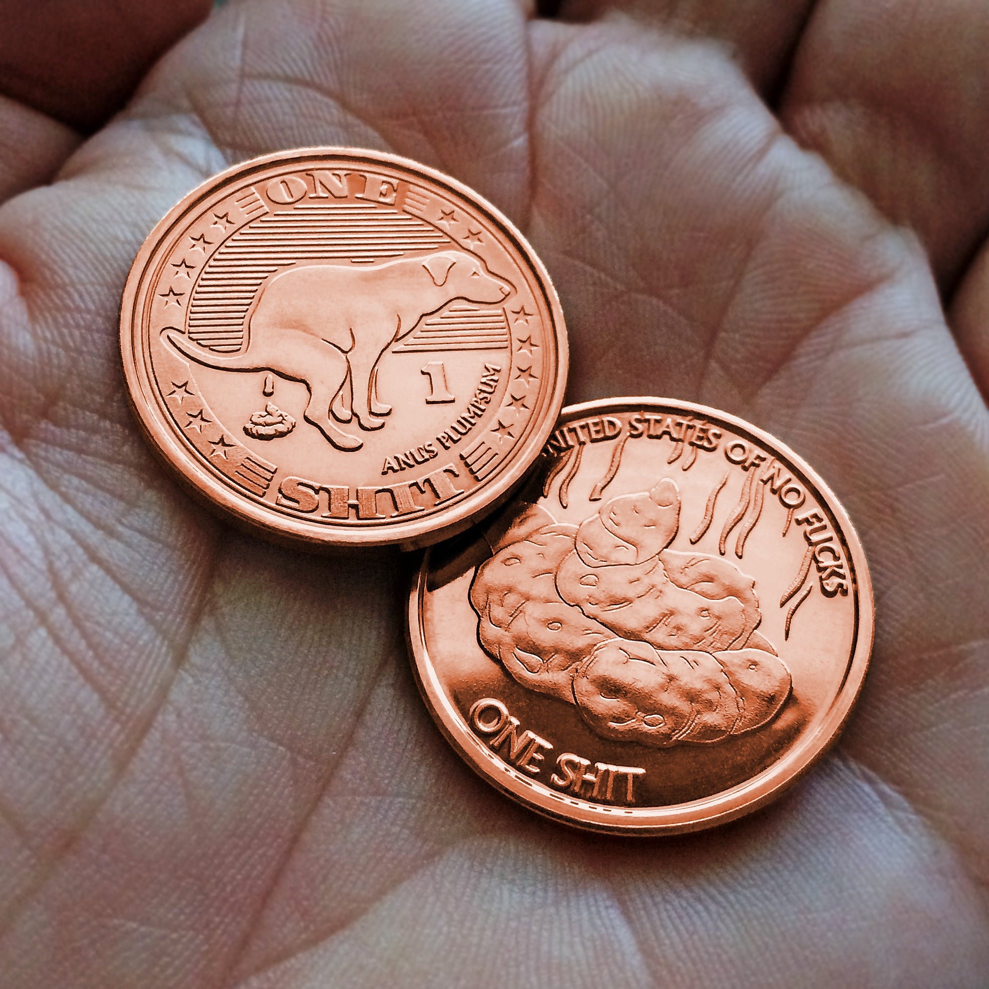 From Rags to Riches: Chasing Dreams with Shit Coins
