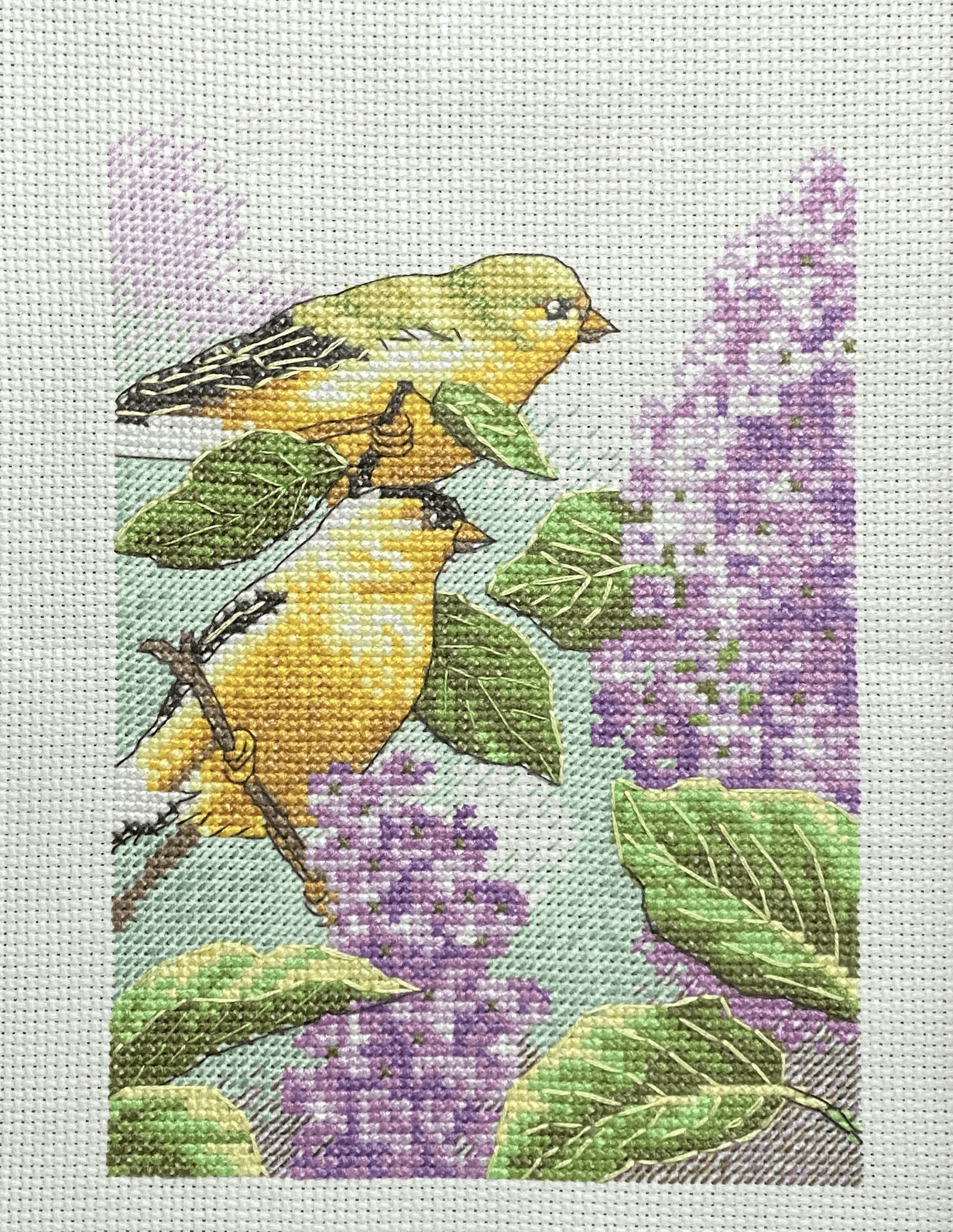 Goldfinch and Lilacs Completed Cross Stitch Framed Etsy