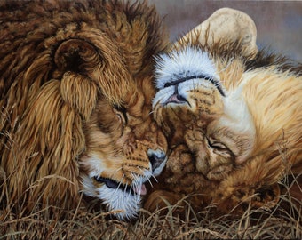 Framed Oil painting Two Brothers (Lions), gift for him gift for her, wildlife picture, Wildlife Art, African wild animal art