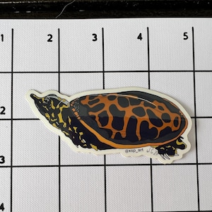 May include: A sticker featuring a turtle with a black and orange patterned shell. The turtle has a yellow and black head and legs. The sticker has the text "@xsp_art" and the initials "JCZ".