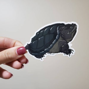Peut inclure: Autocollant représentant une illustration détaillée d'une tortue serpentine gris foncé. La tortue a une carapace texturée et des griffes acérées. L'autocollant est tenu par une main avec du vernis à ongles bordeaux.