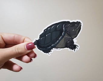 Common snapping turtle