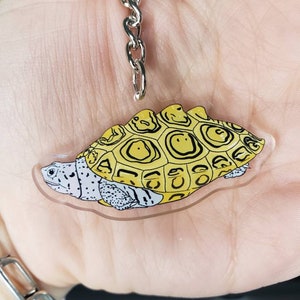 May include: A clear acrylic keychain featuring a turtle design. The turtle has a yellow shell with black markings and a white and gray head. The keychain has a silver metal chain and ring.