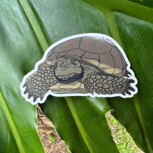 May include: A sticker depicting a tortoise illustration. The tortoise has a brown shell and grey skin, with a friendly expression. The sticker is placed on a large green leaf.