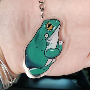 May include: A clear acrylic keychain featuring a cartoon frog. The frog is green with white accents and a yellow eye. The keychain has a silver metal chain and ring.