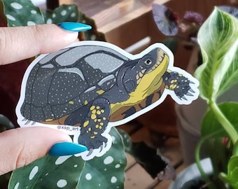 Blanding's Turtle Sticker