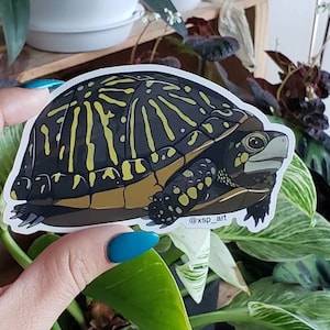 May include: A sticker depicting a detailed illustration of a turtle with a patterned shell in black, yellow, and brown. The turtle has a light green face and is set against a white background. The sticker has the text "xsp_art".
