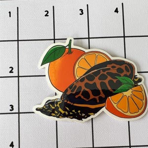 May include: A sticker featuring a turtle with a patterned shell, orange slices, and a whole orange with green leaves. The turtle has a black and brown shell. The oranges are orange and yellow.