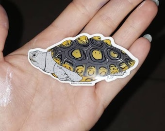 Ornate Diamondback Terrapin Mini Sticker