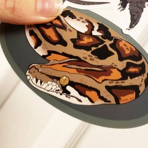 May include: A sticker featuring a detailed illustration of a snake's head. The snake has a pattern of brown and tan spots on its body, with orange accents. The sticker is oval-shaped with a dark gray border.