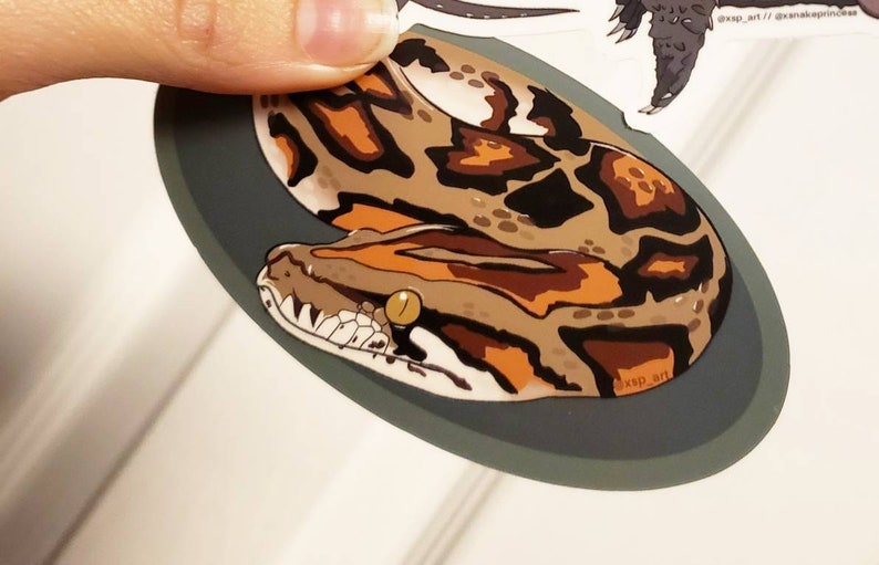 Puede incluir: Una pegatina ovalada con una ilustraci&oacute;n detallada de la cabeza de una serpiente. La serpiente tiene un patr&oacute;n de manchas marrones y beige, con detalles en naranja. La pegatina tiene un borde gris oscuro.