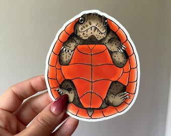 SFRTP Loggerhead Musk