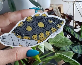 Ornate Terrapin Sticker