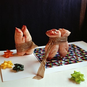 Pas de Deux, New Organic Ballet Dance Experiment, Still Life, Hasselblad 24 x24 inches Color Analogue Photo Print, Cabinet of Curiosities