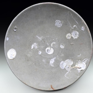 May include: A circular, matte gray plate featuring a textured surface with several irregular, white, translucent, and slightly raised circular spots scattered across the center and edges, creating a mottled and weathered appearance.