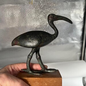Peut inclure: Une sculpture d'oiseau en bronze avec un bec courb&eacute; et de longues pattes, mont&eacute;e sur une base en bois. L'oiseau a une apparence sombre et patin&eacute;e avec des reflets verts et rouges. C'est un objet d&eacute;coratif.