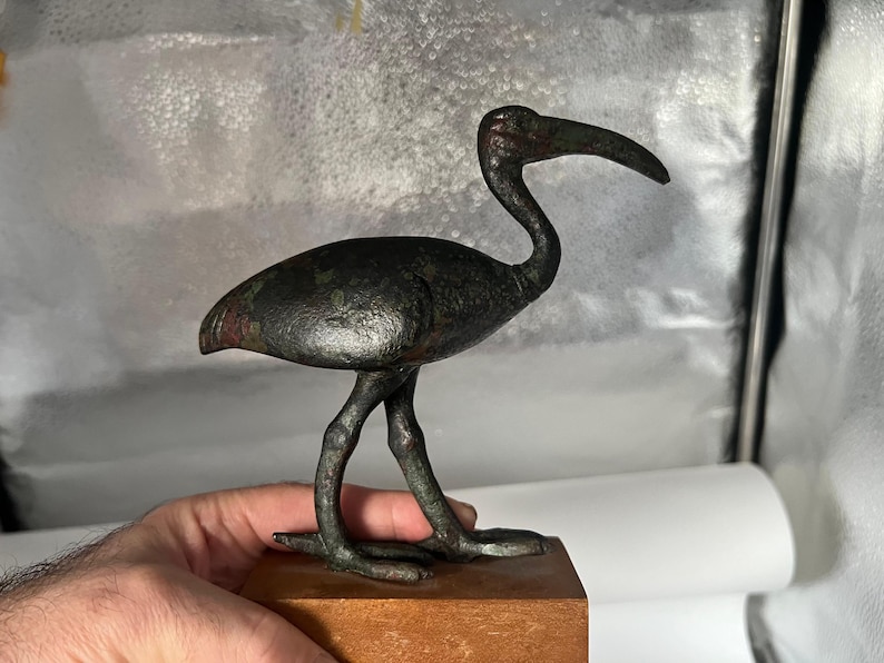 Peut inclure: Une sculpture d'oiseau en bronze avec un bec courb&eacute; et de longues pattes, mont&eacute;e sur une base en bois. L'oiseau a une apparence sombre et patin&eacute;e avec des reflets verts et rouges. C'est un objet d&eacute;coratif.