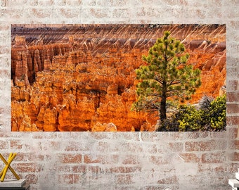 Bryce Canyon National Park, Utah Hoodoos Nature Landscape, Southern Utah, Utah Landscape Photo, Living Room Art, Gift for Him, Office Decor