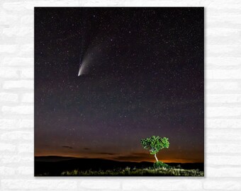 Comet Neowise Photo, Square Photo, Astro Photograph, Colorado Night Sky, Last Dollar Road, Telluride, Ridgway, Ouray
