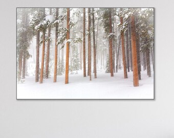 Yellowstone National Park Winter Snowstorm Print, Wyoming Landscape Wall Art