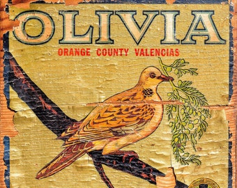 Olivia Orange Crate Label, California Vintage Fruit Crate Label, Square Art, Home Decor, Gift for Her, Fruit Crate Art, Vintage Wall Art