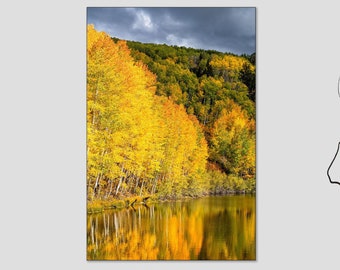 Colorado Aspen Trees, Telluride Autumn, Lake Reflections, Living Room Art, Landscape Photo, Nature Wall Art, Home Decor, Colorado Fall Color