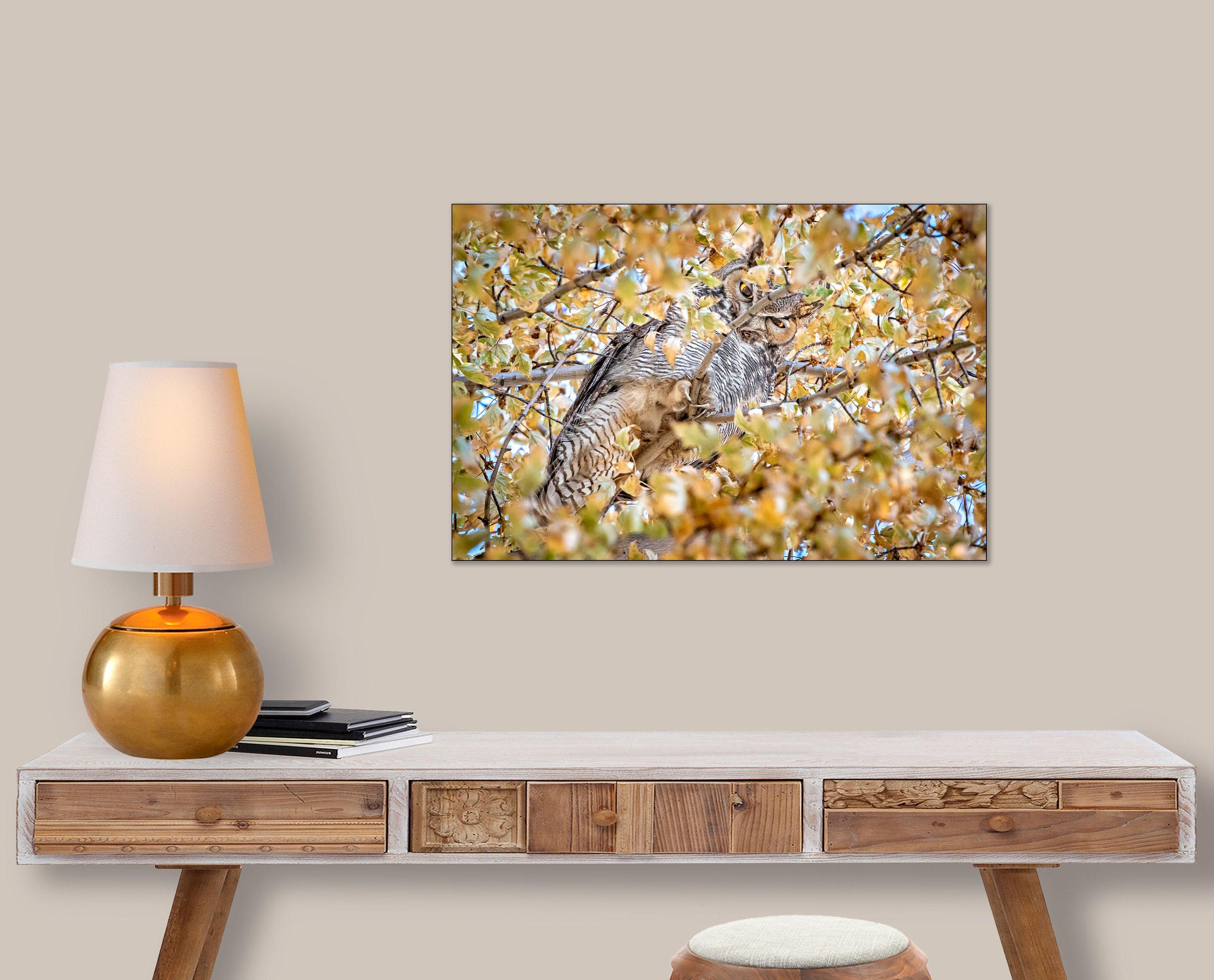 Horned Owl in Maple Tree Photo, Nature Wildlife Wall Art Print