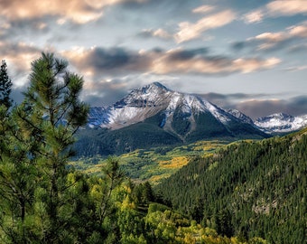 Telluride Colorado Fall Color, Mountain Landscape, Aspen Trees, Wilson Peak, Cabin Decor, Nature Photography, Living Room Art