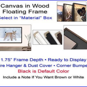 a picture of a picture of a cat in a frame