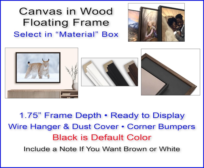 a picture of a picture of a cat in a frame