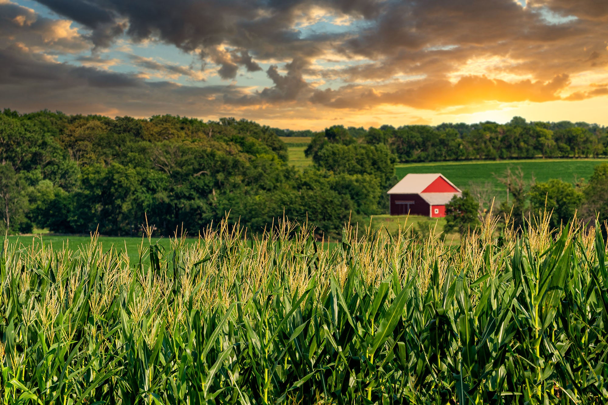 Red Barn Photo Nebraska Sunset Nebraska Corn Field Rural Etsy