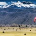 see more listings in the Colorado Landscapes section