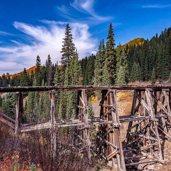 Rio Grande Southern Train, Trout Lake Trestle 51A, Colorado Fall Color, Train Art, Home Decor, Railroad Trestle, Vintage Railroad Art