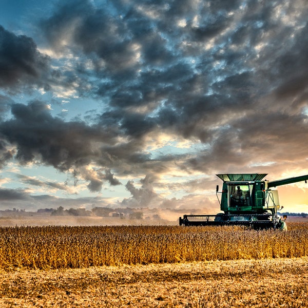 Grain Harvest, Nebraska Sunset, Soybean Field, John Deere Harvester, Great Plains Photo, Rural Farm Decor, Wall Art, Living Room Art