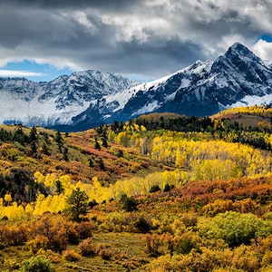 Dallas Divide, Telluride Colorado, Mt Sneffels, Fall Color, Nature Photography, Living Room Art, Wall Art, Home Decor, Rocky Mountains