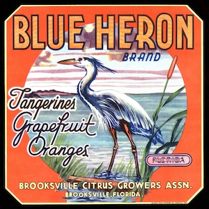 Blue Heron Orange Crate Label, Brooksville Florida Citrus Growers, Tangerines Grapefruit Label, Square Art, Home Decor, Wall Art, 1950s Art