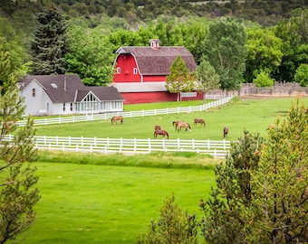 Red Barn, Rustic Horse Farm, Horse Ranch, Old West Horses, Colorado, Fine Art Photo, Living Room Art, Large Wall Art, Canvas Print