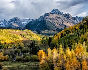 Autumn Color Colorado, Telluride Fall Color, Colorado Photography, Large Wall Art, Ridgway Colorado, Cabin Art, Living Room Art