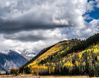 Telluride Colorado, Colorado Fall Color, Telluride Valley, Aspen Trees, Large Office Decor, Landscape Photo, Living Room Art