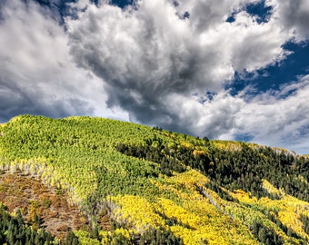 Autumn Colors, Aspen Trees, Ridgway, Telluride, Ouray, Sneffels, Fall Color, Nature Photography, Living Room Art, Wall Art, Rocky Mountains