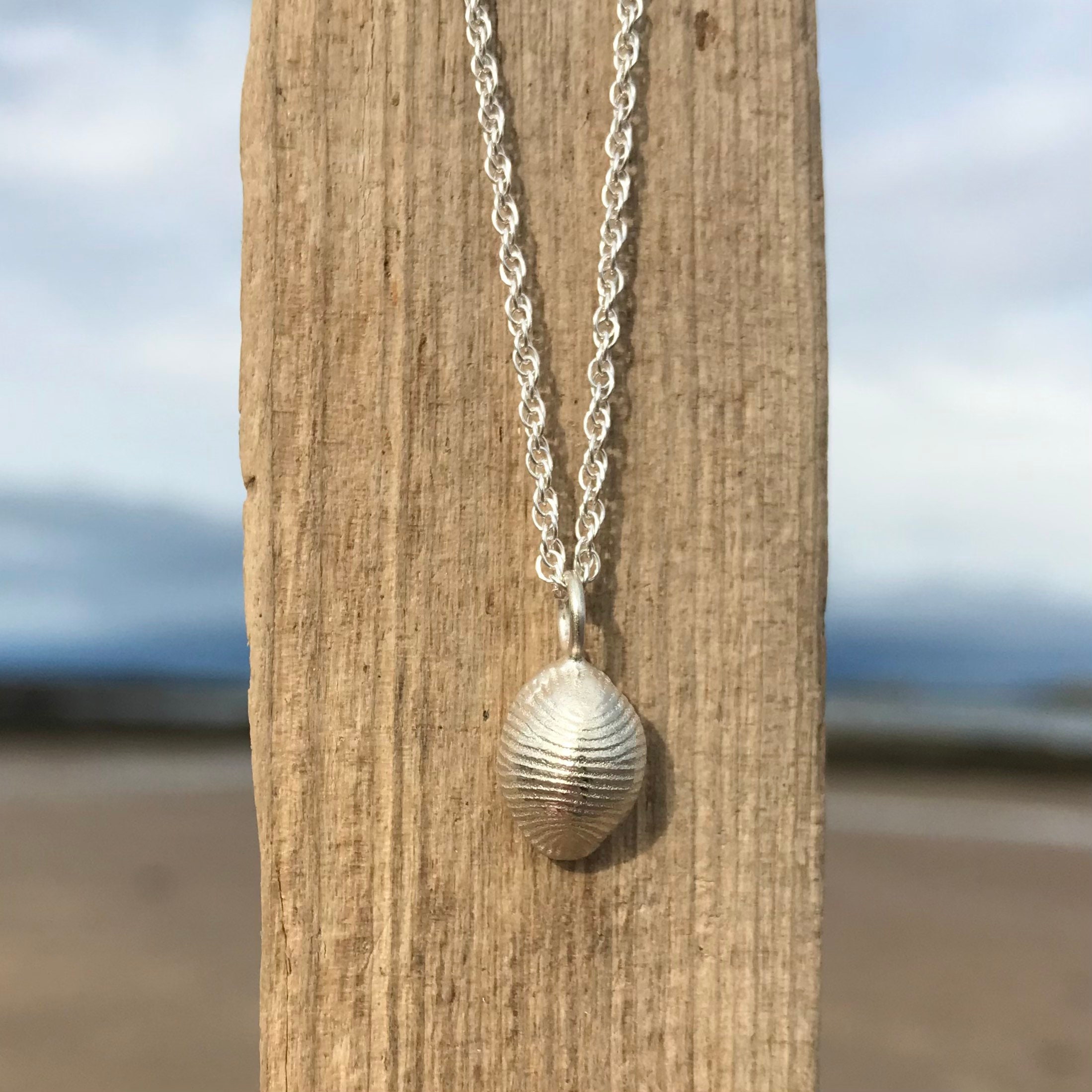 Silver Cowrie Necklace