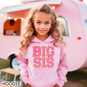 May include: A pink hoodie with a gold glitter design that says "BIG SIS" on the front. The hoodie is being worn by a young girl with long blonde hair.