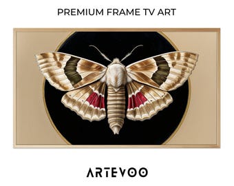 Symmetrical Specimen Moth Scientific Illustration, Halloween Taxidermy Frame TV Art, Cream Crimson Red Minimalist Backdrop