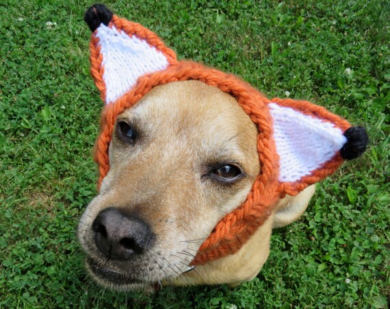 frenchie dressed as chucky