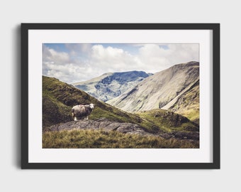 Lake District Print | Lone Sheep | Great End, Lake District, UK | Colour photographic print | Mountain landscape photography wall art gift